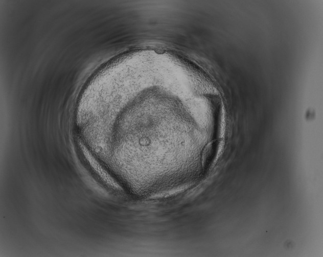 X0000101100049200807171922