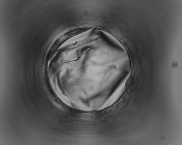 X0000101100050200807171922