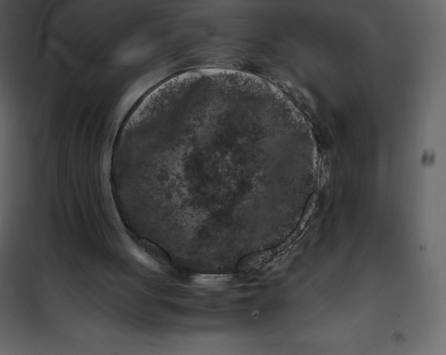 X0000101100051200807171922