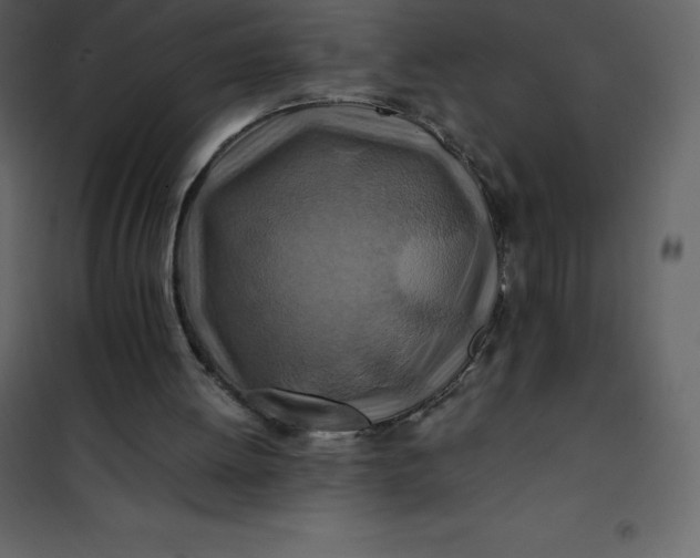 X0000101100052200807171922