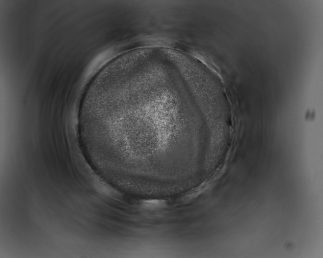 X0000101100053200807171922