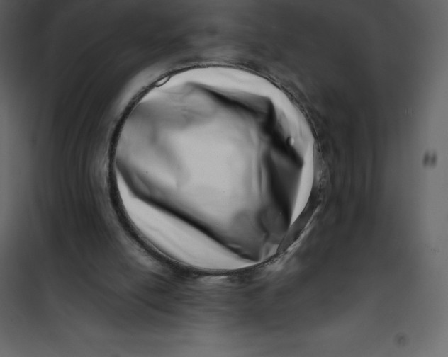 X0000101100054200807171922