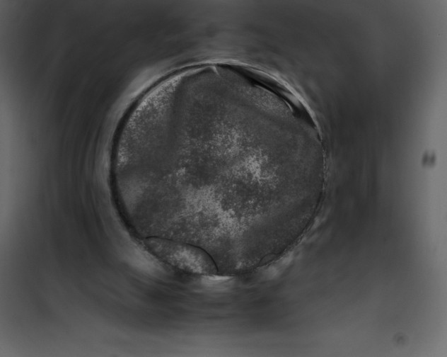 X0000101100055200807171922