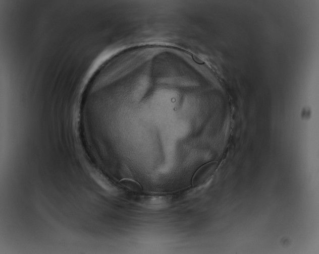 X0000101100056200807171922