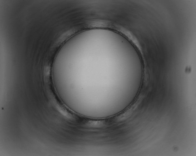 X0000101100057200807171922