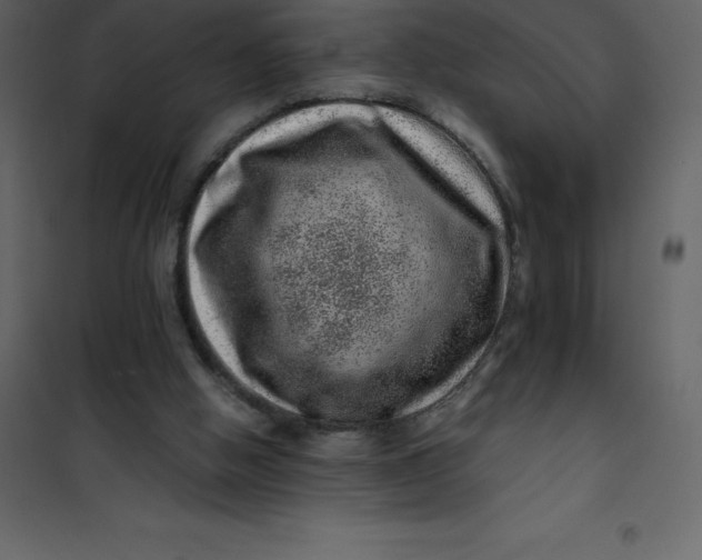 X0000101100058200807171922