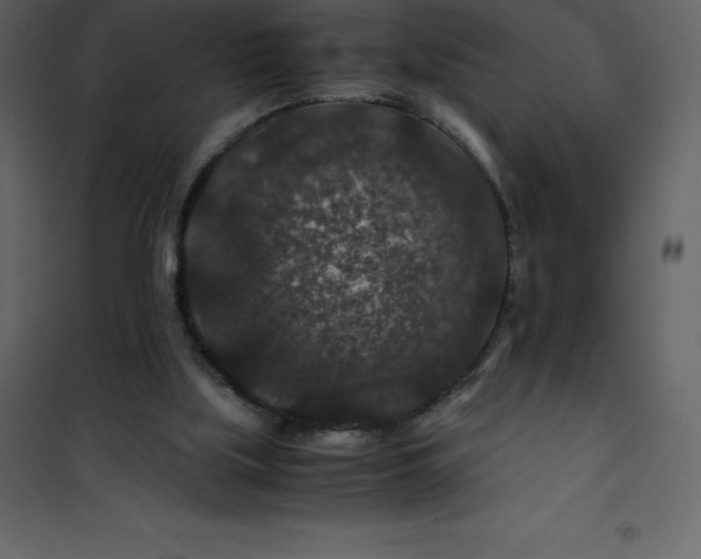 X0000101100059200807171922