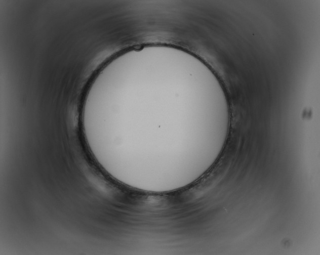 X0000101100060200807171922