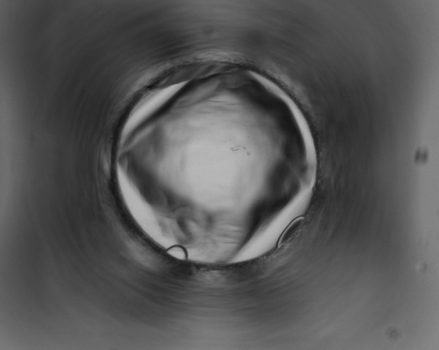 X0000101100062200807171922