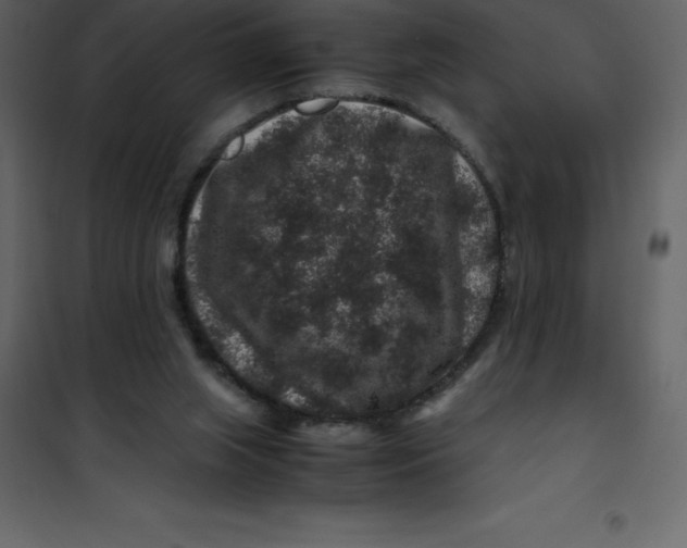X0000101100063200807171922