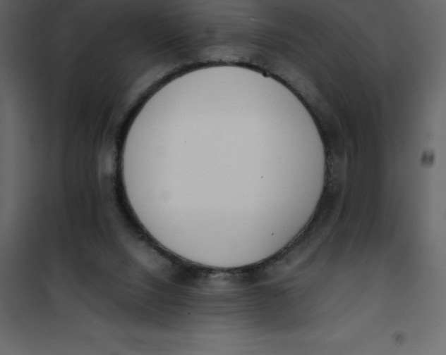 X0000101100064200807171922