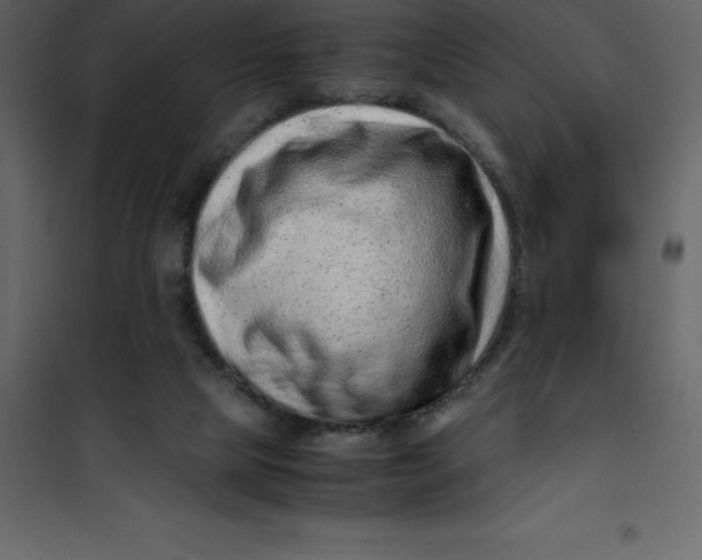 X0000101100065200807171922