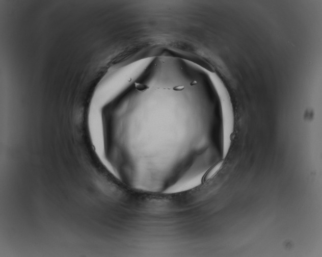 X0000101100066200807171922