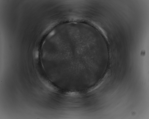 X0000101100067200807171922