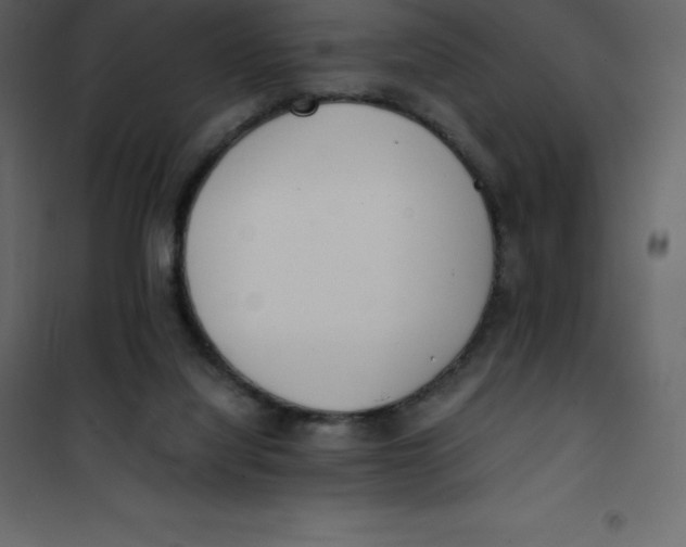X0000101100068200807171922