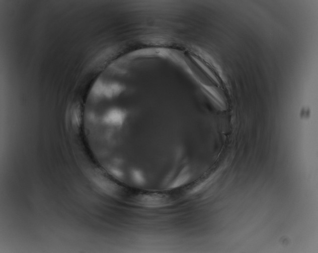 X0000101100069200807171922