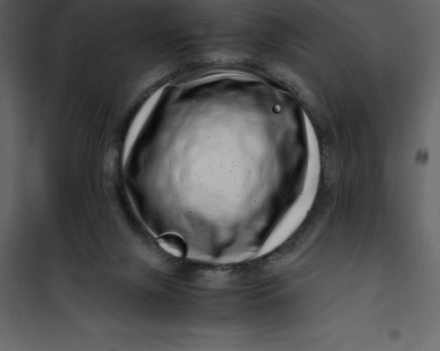 X0000101100071200807171922