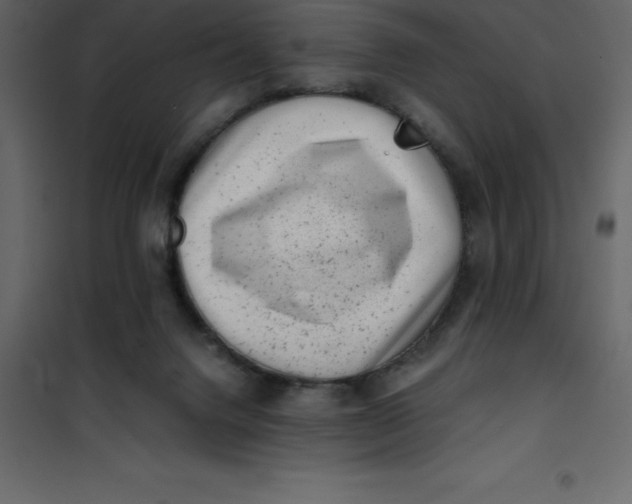 X0000101100072200807171922