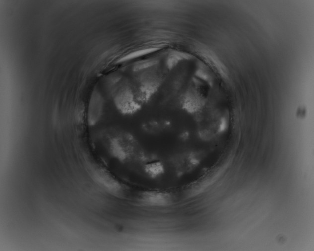 X0000101100073200807171922