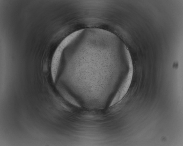 X0000101100074200807171922