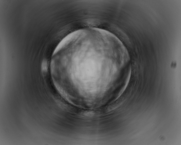 X0000101100075200807171922