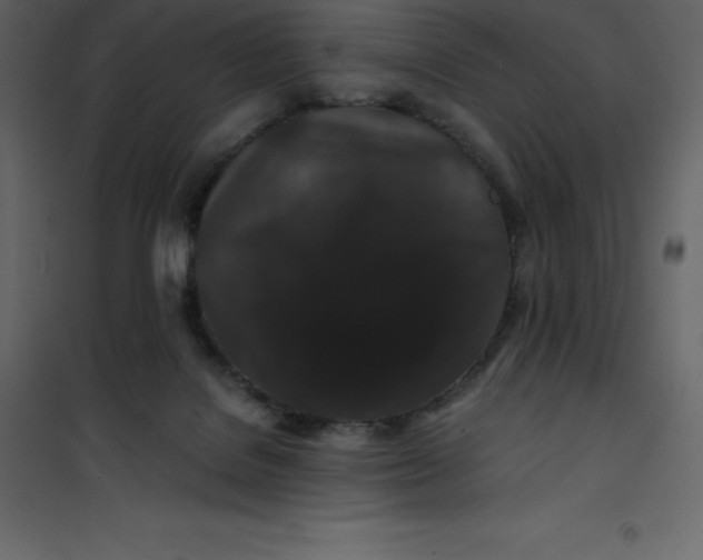 X0000101100076200807171922