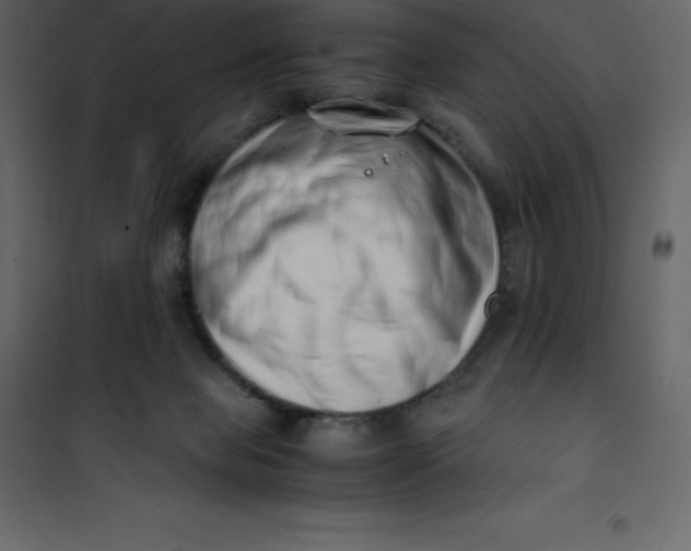 X0000101100077200807171922