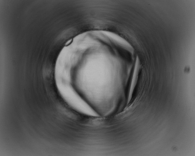 X0000101100078200807171922