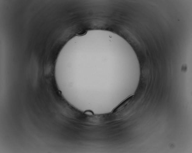 X0000101100079200807171922