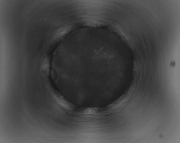 X0000101100080200807171922