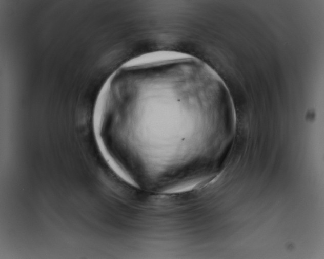X0000101100082200807171922