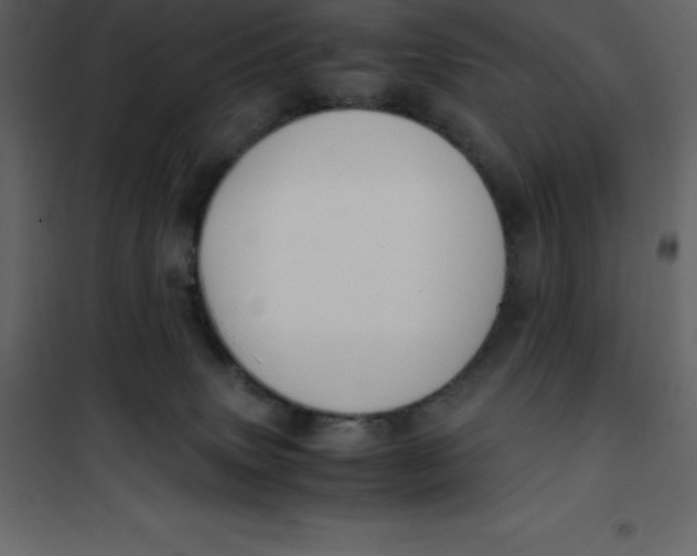 X0000101100083200807171922