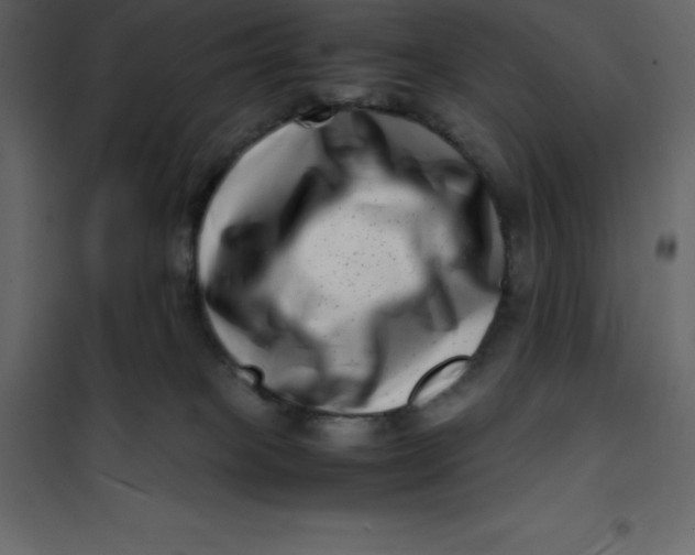 X0000101100085200807171922