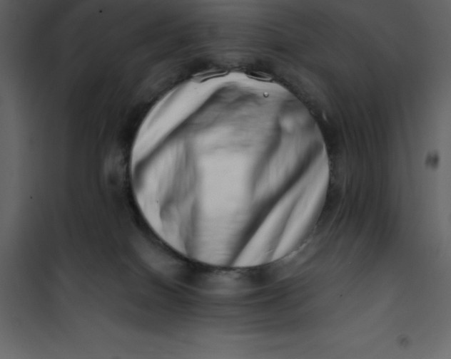 X0000101100086200807171922