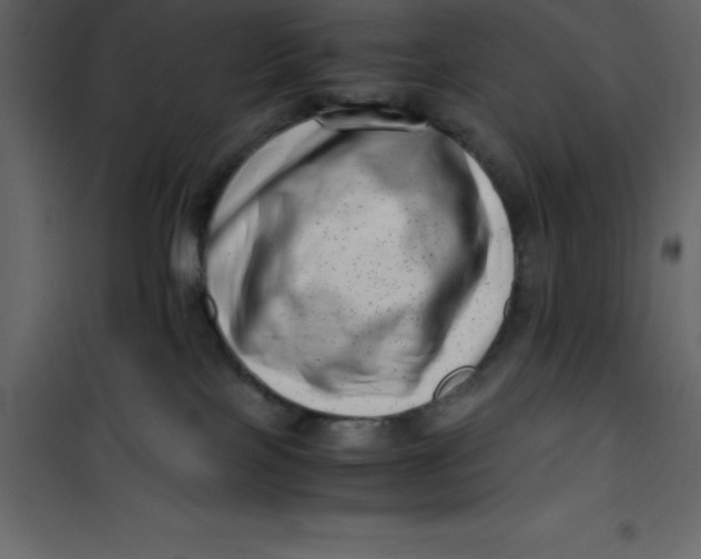 X0000101100089200807171922