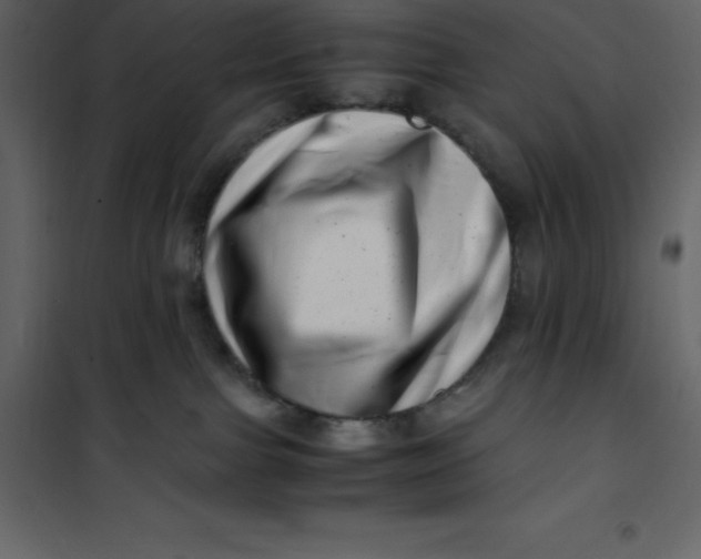 X0000101100091200807171922