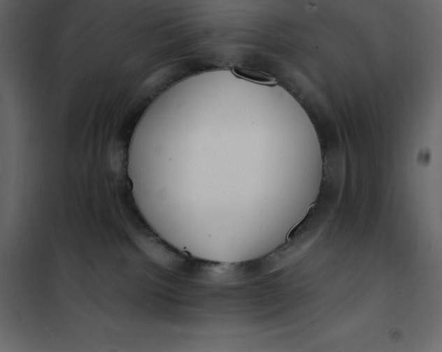 X0000101100092200807171922