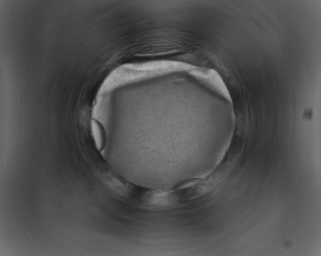 X0000101100093200807171922