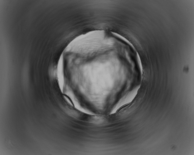 X0000101100095200807171923