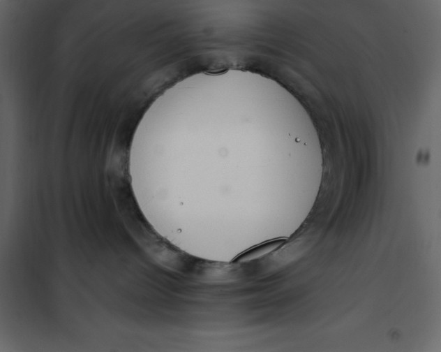 X0000101100096200807171923