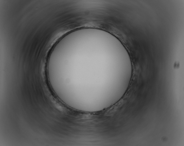 X0000101100098200807171922