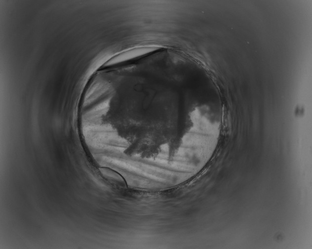 X0000101100099200807171922