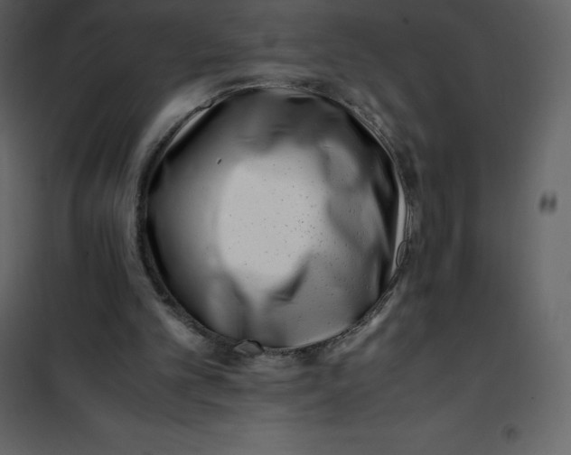 X0000101100101200807171922