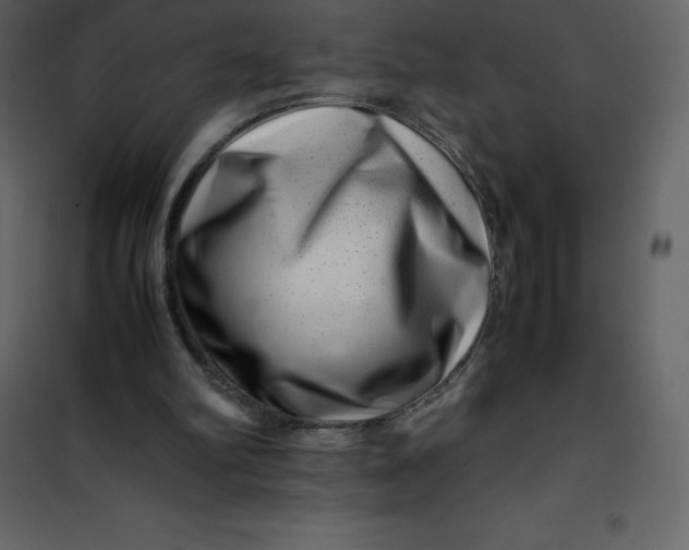 X0000101100102200807171922