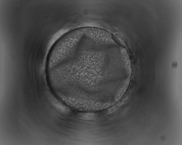 X0000101100104200807171922