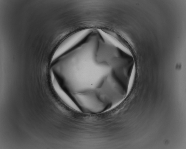 X0000101100105200807171922