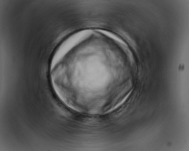 X0000101100107200807171922