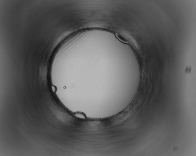 X0000101100108200807171921