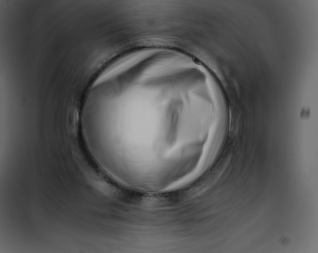 X0000101100109200807171921