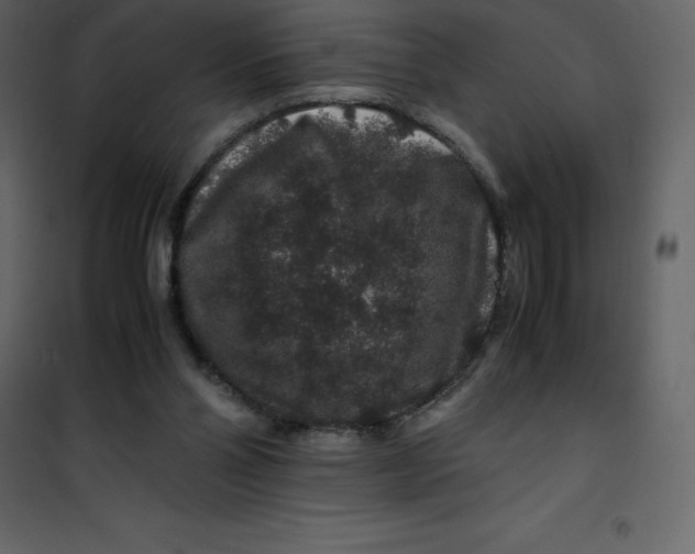 X0000101100110200807171921